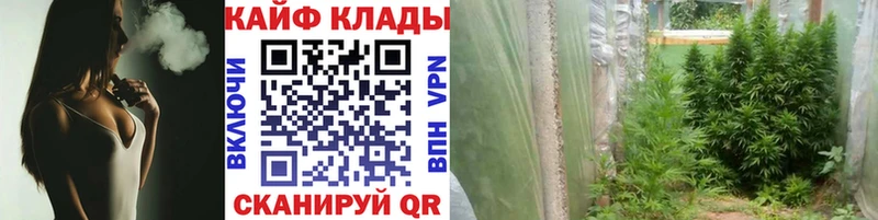 Каннабис Отрадная