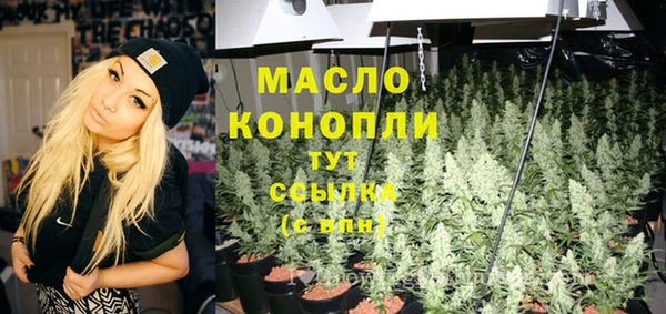 индика Ельня