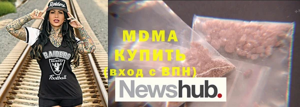 индика Ельня