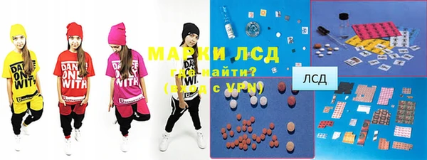 индика Ельня