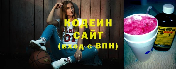 индика Ельня