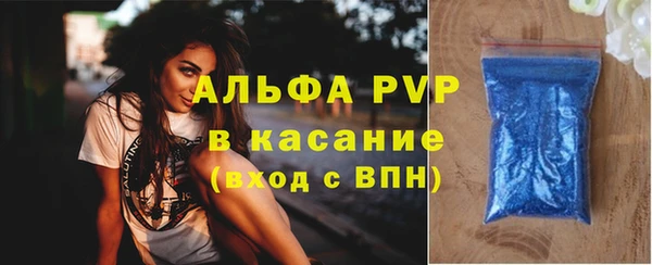 индика Ельня