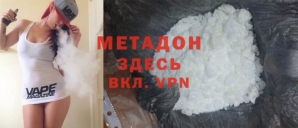 индика Ельня