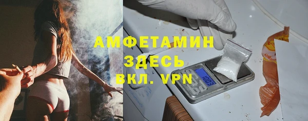 индика Ельня