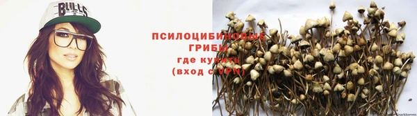 амф Елизово