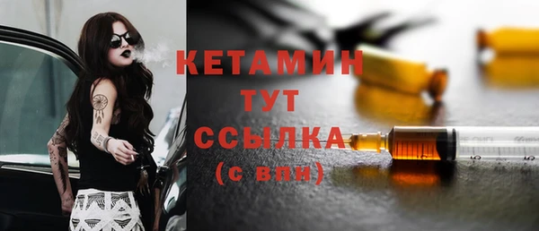 индика Ельня