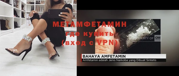 индика Ельня