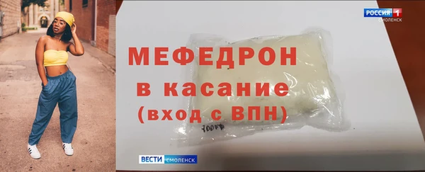 индика Ельня