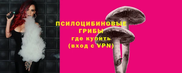 амф Елизово