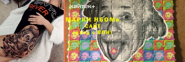 индика Ельня