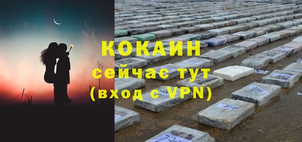 индика Ельня