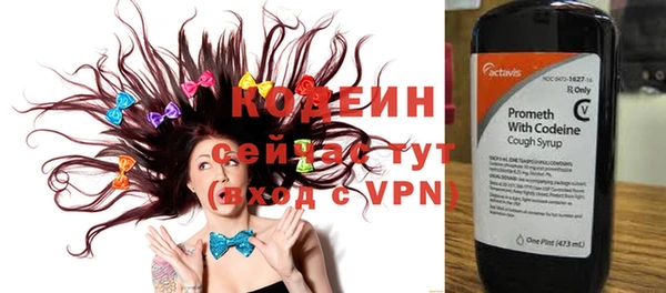 индика Ельня