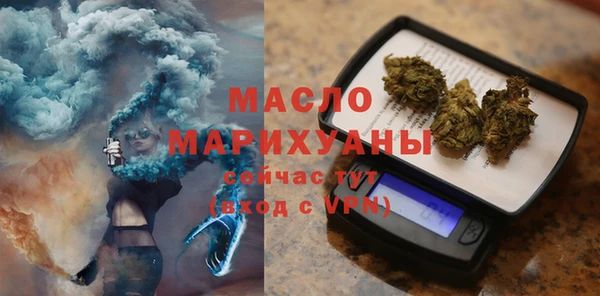 индика Ельня