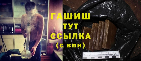 индика Ельня