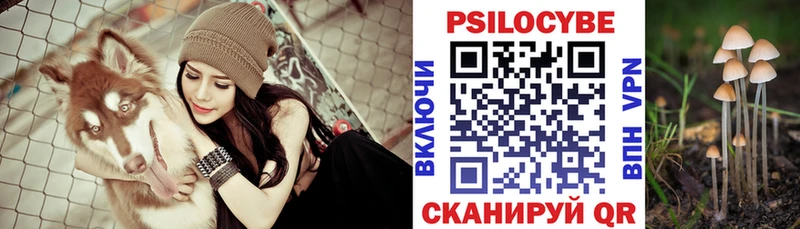 Галлюциногенные грибы Cubensis  Купить  Отрадная 